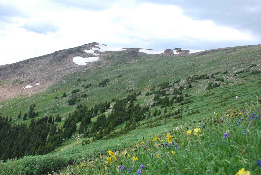 winter park alpine