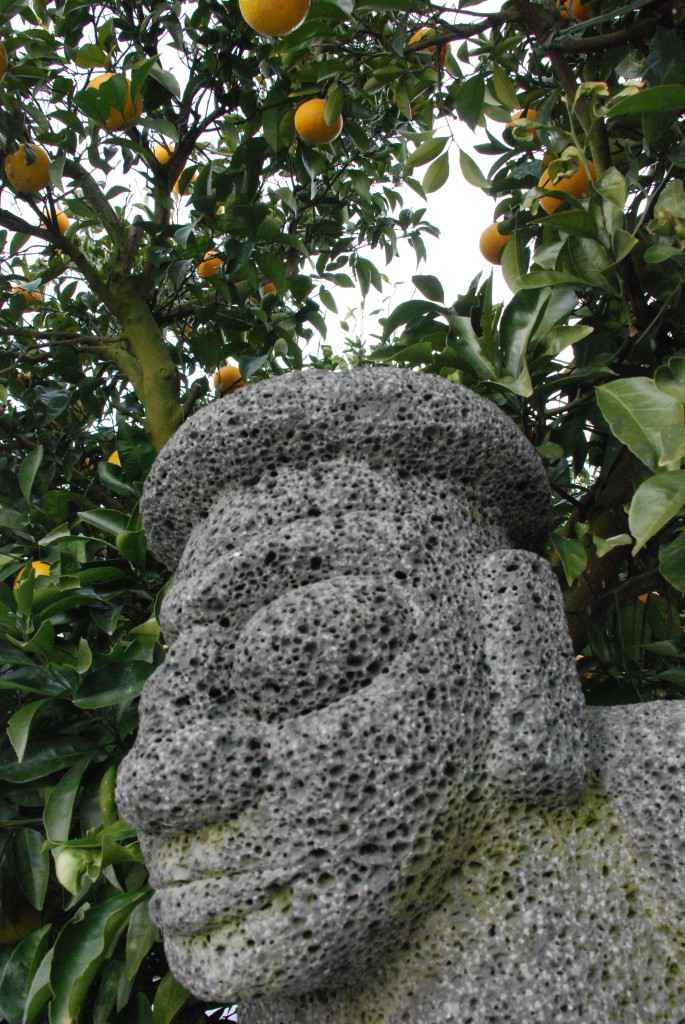 citrus farm jeju statue korea