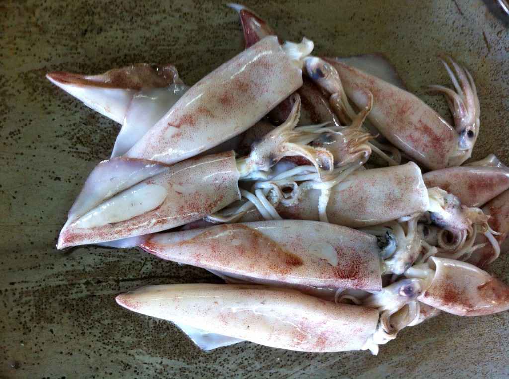 squid jigging in terengganu