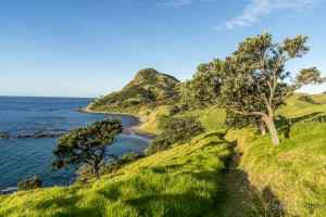 walking North Coromandel