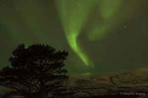 northern lights norway