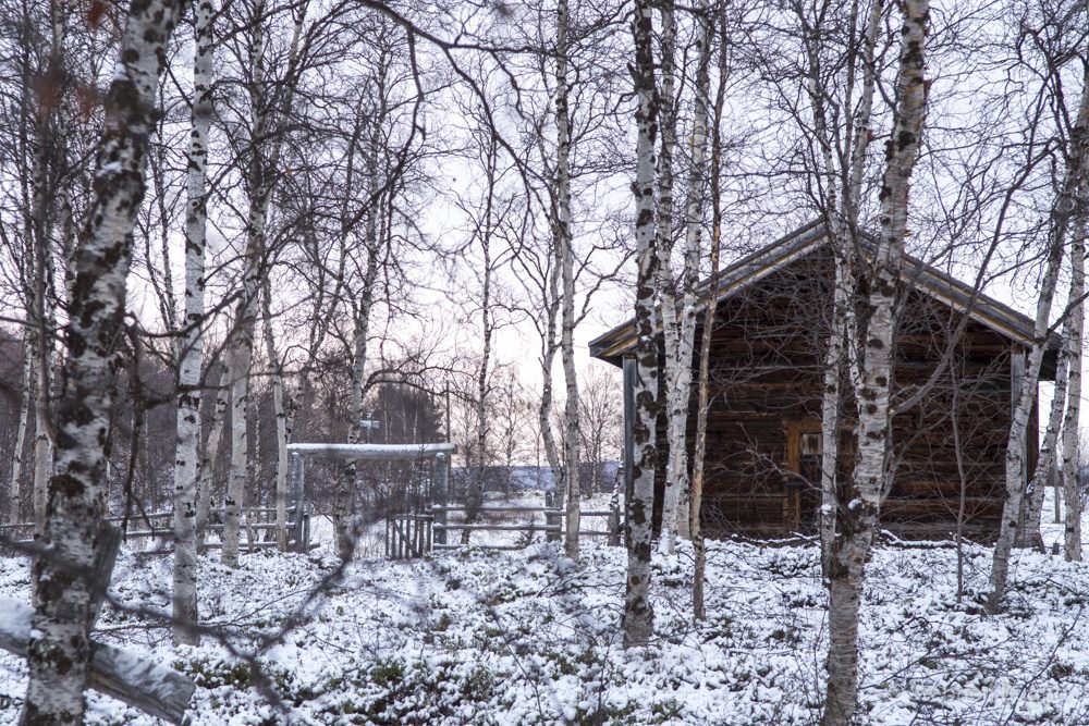 Northern Lapland in Winter
