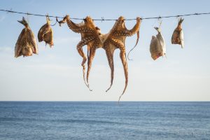 going to lesvos greece